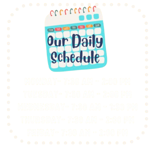 Daily Schedule